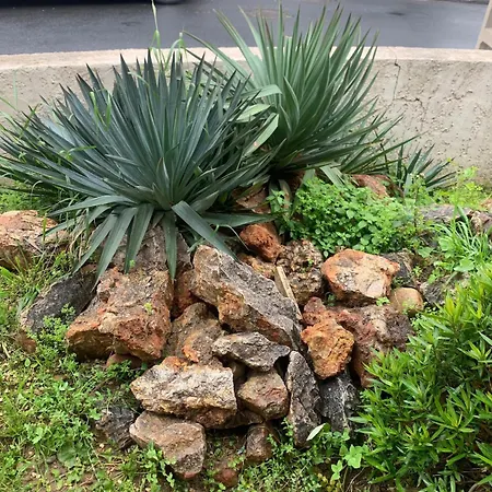 Otelito * 佩皮尼昂